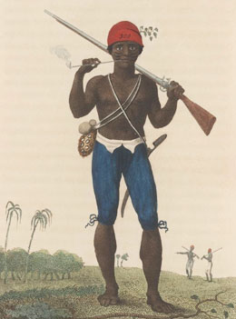 A Black Ranger in Suriname
